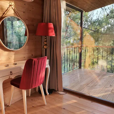 Rocas Roja Beach キャンプ場 ファラリア