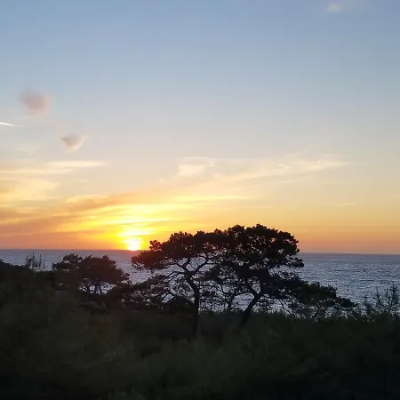 Rocas Roja Beach キャンプ場 *