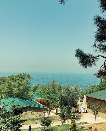 Rocas Roja Beach キャンプ場 *