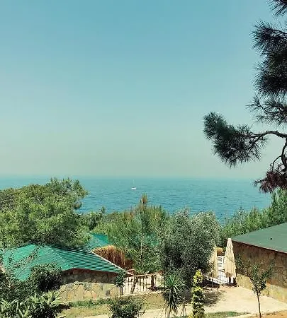 Rocas Roja Beach مكان تخييم *