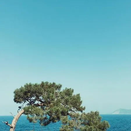 Rocas Roja Beach * فاراليا